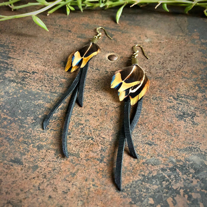 Feather Earrings - Black Leather & Pheasant Feathers